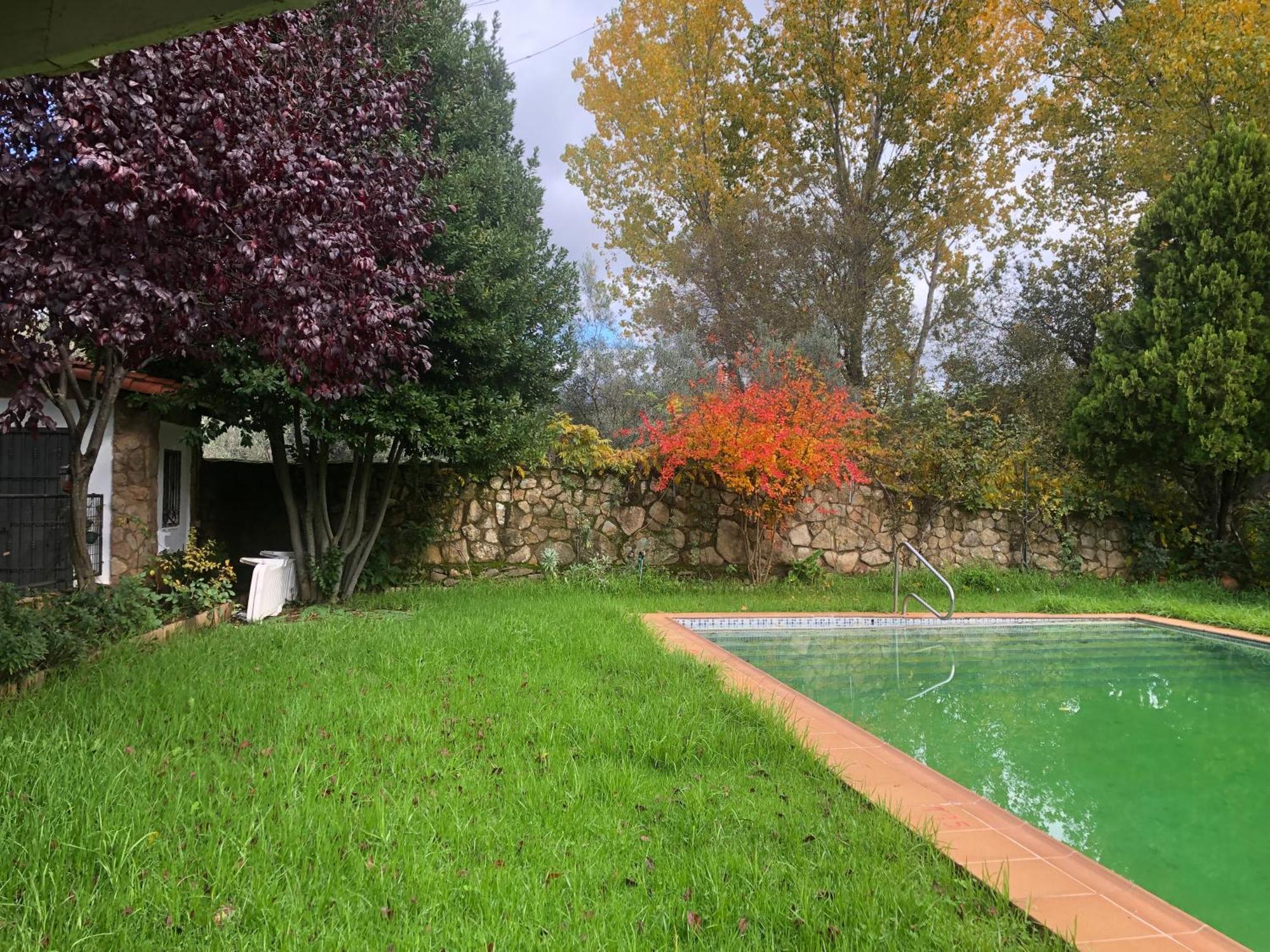 Vergel Gata